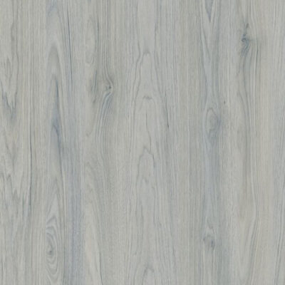 HORNG CHANG｜P3387 ST12